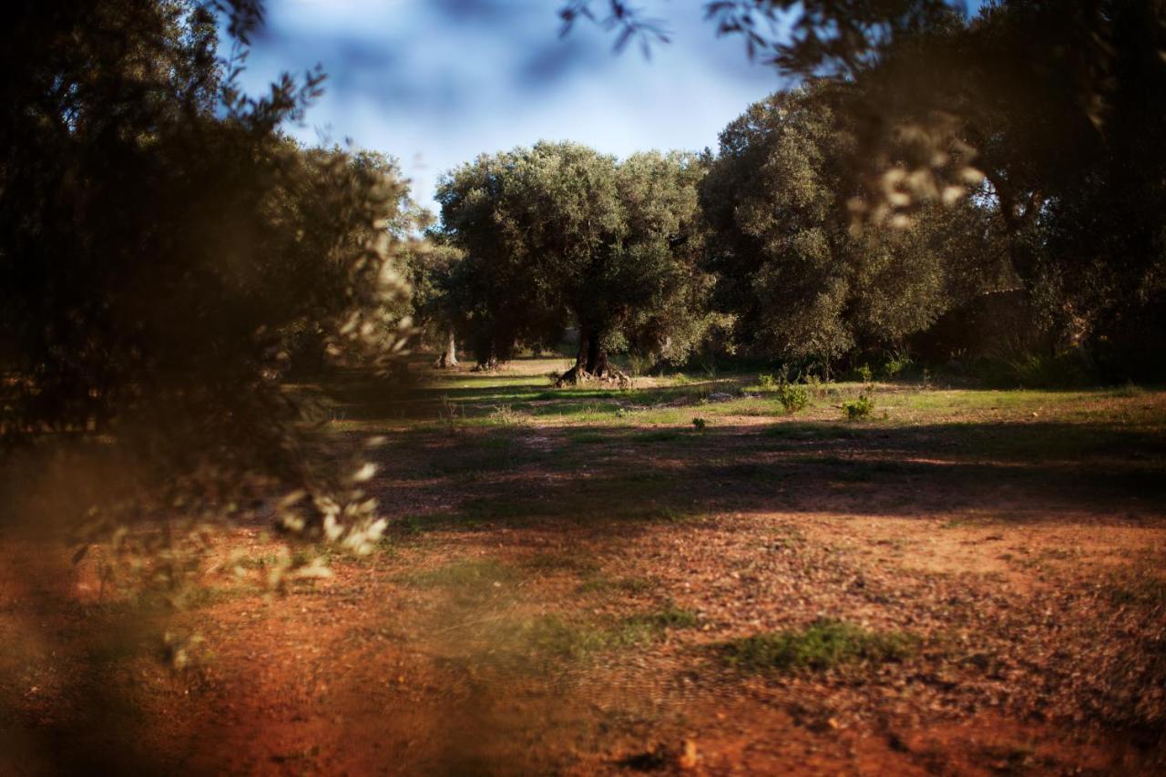 Masseria Borgo Mortella Lecce Eksteriør billede