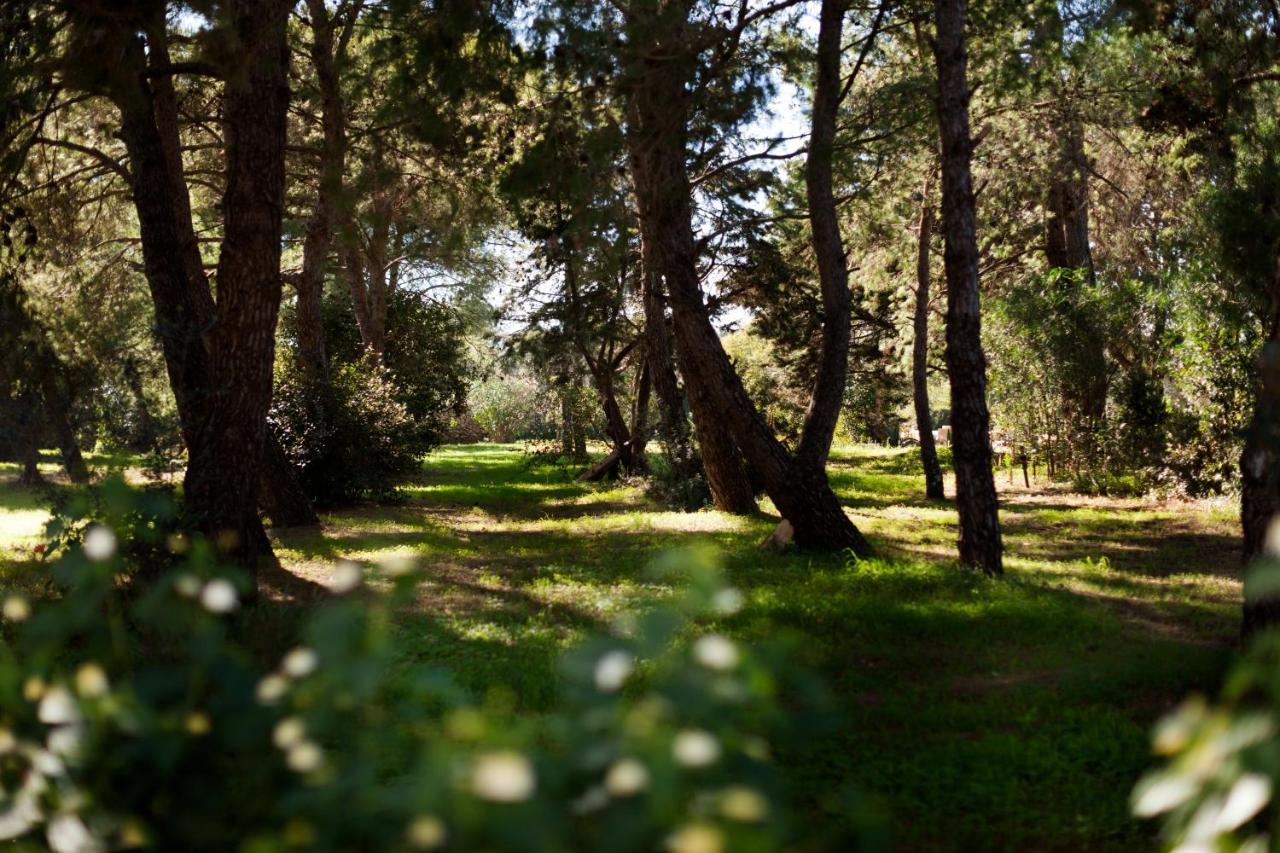 Masseria Borgo Mortella Lecce Eksteriør billede