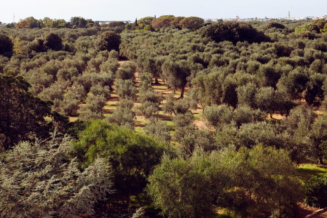 Masseria Borgo Mortella Lecce Eksteriør billede